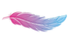 Kristin MacQueen Logo
